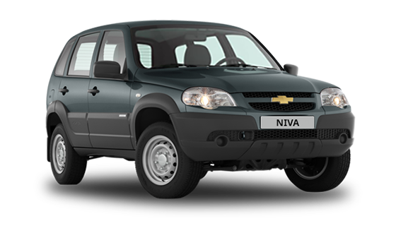 Niva